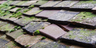 Birchmoor roof repair costs